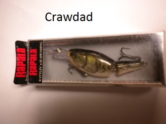Rapala Shad Rap - Image 7